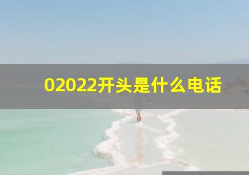 02022开头是什么电话