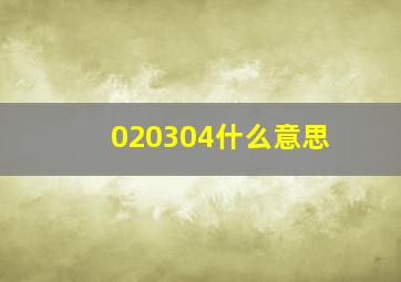 020304什么意思