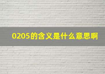 0205的含义是什么意思啊