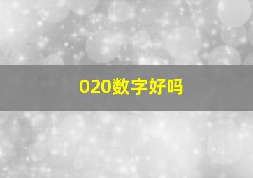 020数字好吗