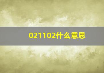 021102什么意思