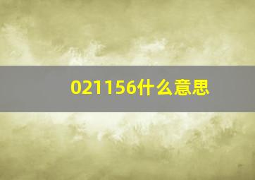 021156什么意思