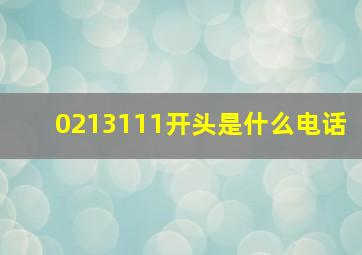 0213111开头是什么电话