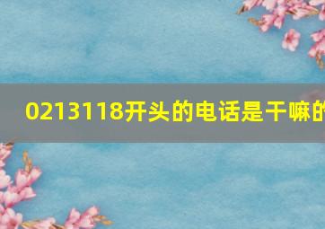 0213118开头的电话是干嘛的