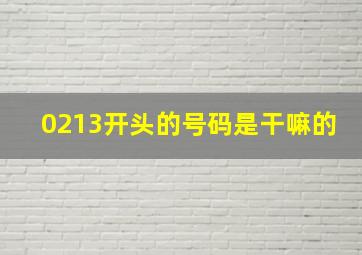 0213开头的号码是干嘛的