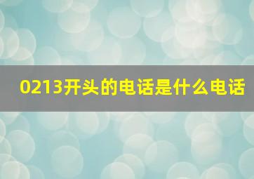 0213开头的电话是什么电话