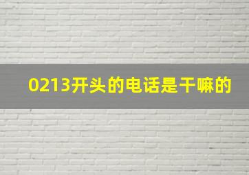 0213开头的电话是干嘛的