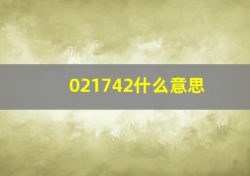 021742什么意思