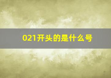 021开头的是什么号