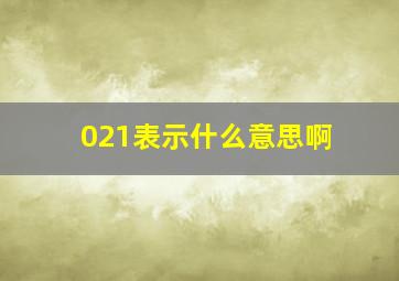 021表示什么意思啊