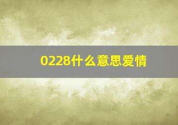 0228什么意思爱情