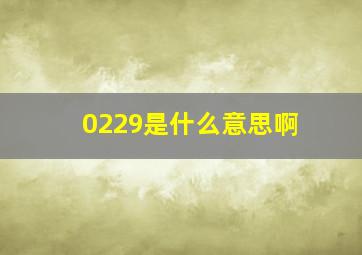 0229是什么意思啊