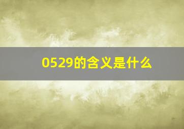 0529的含义是什么