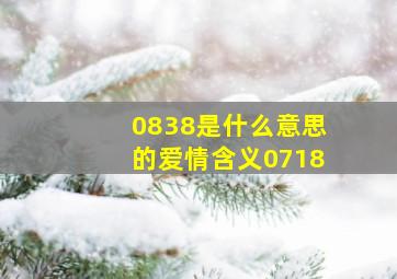 0838是什么意思的爱情含义0718