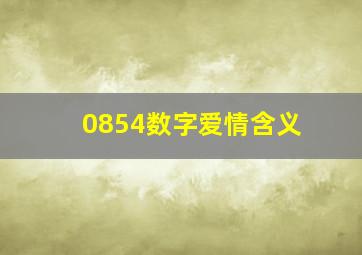 0854数字爱情含义