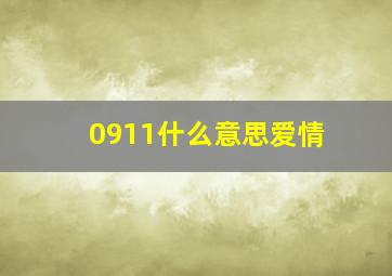 0911什么意思爱情