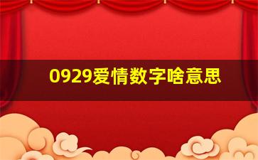 0929爱情数字啥意思