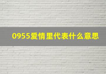 0955爱情里代表什么意思