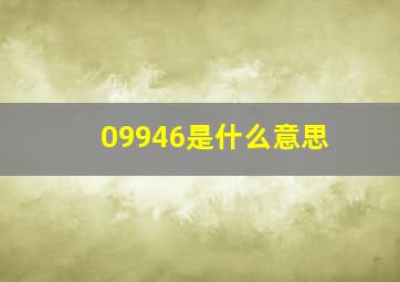 09946是什么意思