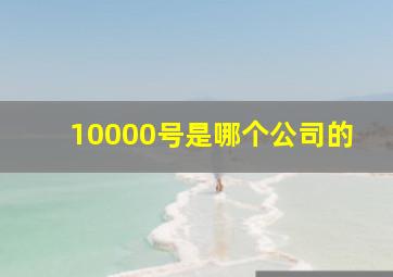 10000号是哪个公司的