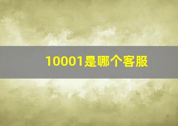 10001是哪个客服