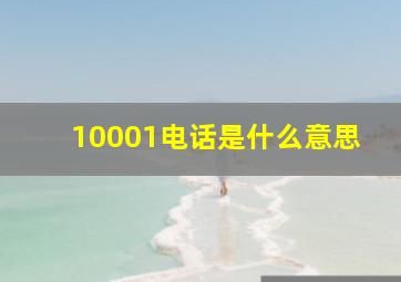 10001电话是什么意思