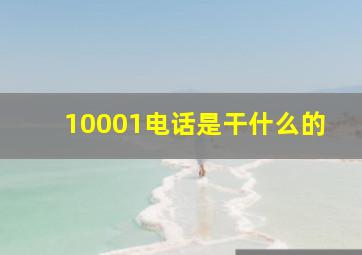 10001电话是干什么的