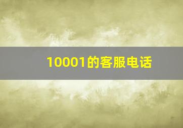 10001的客服电话