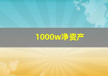 1000w净资产