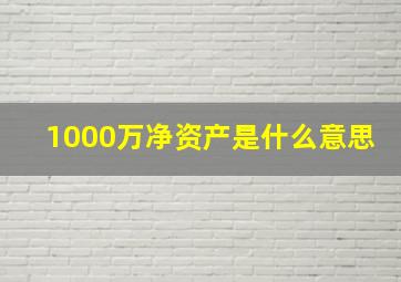 1000万净资产是什么意思