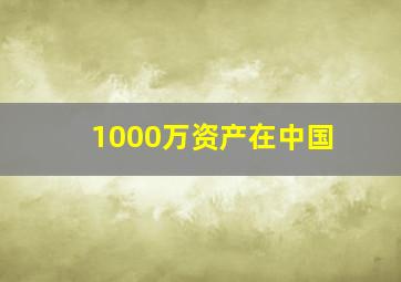 1000万资产在中国