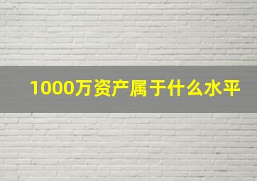 1000万资产属于什么水平