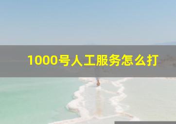 1000号人工服务怎么打