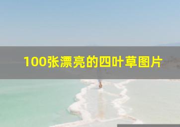 100张漂亮的四叶草图片