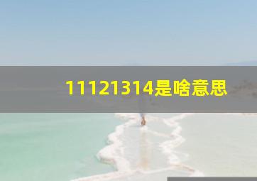 11121314是啥意思