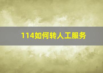 114如何转人工服务