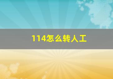 114怎么转人工