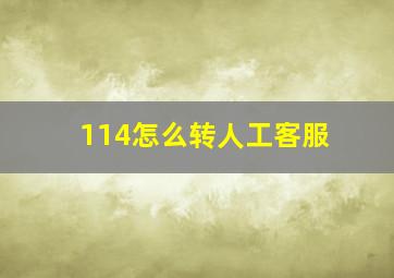 114怎么转人工客服