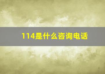 114是什么咨询电话