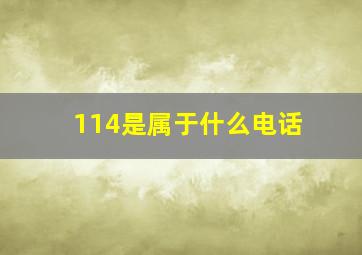 114是属于什么电话