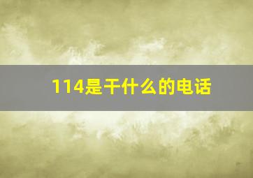 114是干什么的电话