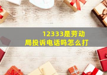 12333是劳动局投诉电话吗怎么打