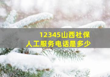 12345山西社保人工服务电话是多少