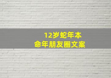 12岁蛇年本命年朋友圈文案