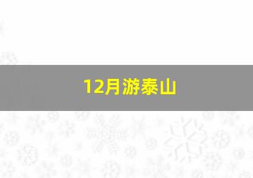 12月游泰山