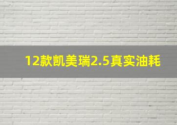 12款凯美瑞2.5真实油耗