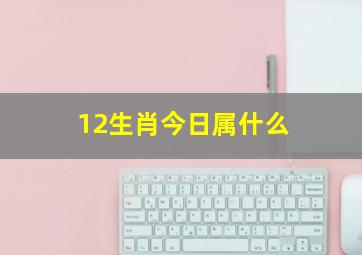 12生肖今日属什么