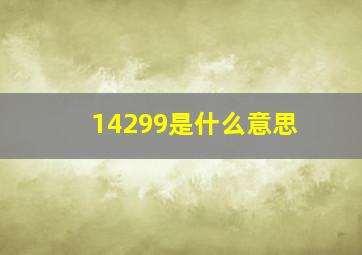 14299是什么意思