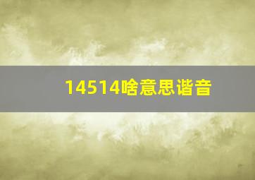 14514啥意思谐音