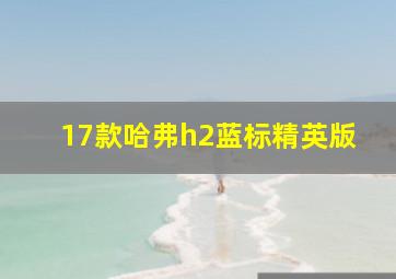 17款哈弗h2蓝标精英版